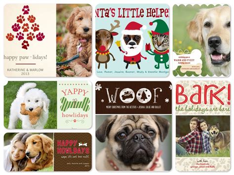 Dog Christmas Card Sayings