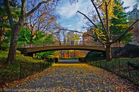 Central Park and Fall Leaves - Black Chick On Tour