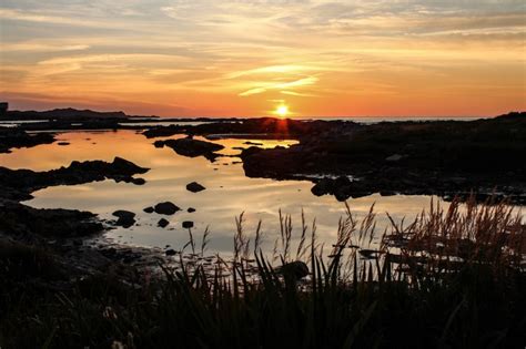 I Learned to Play the Ugly Stick This Summer in Newfoundland [PICs]