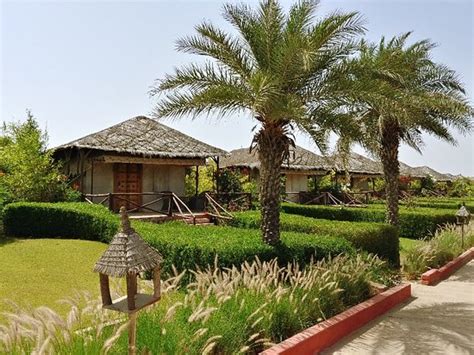 SERENA BEACH RESORT (Mandvi, Gujarat) - Hotel Reviews, Photos, Rate ...