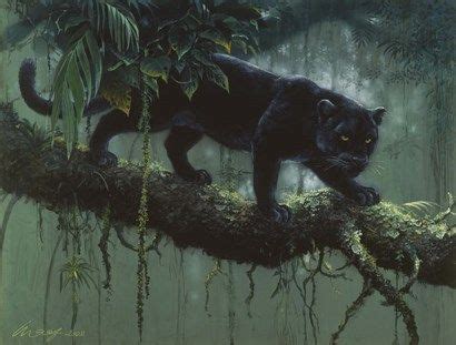 Black Jaguar by Harro Maass | Black jaguar, Jaguar, Animal art