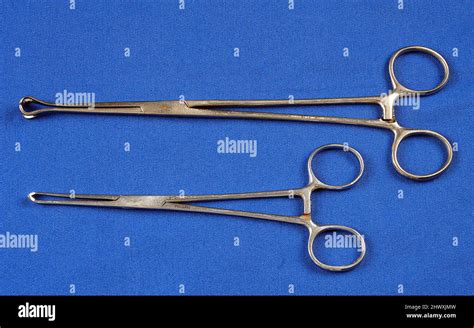 Babcock forceps (top) and Allis clamp (bottom). Both are used to ...