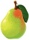 Pear PNG Vector Clipart Image | Gallery Yopriceville - High-Quality Free Images and Transparent ...
