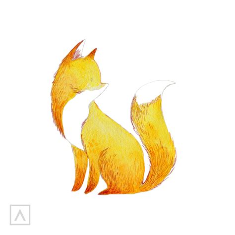 Fox Drawings