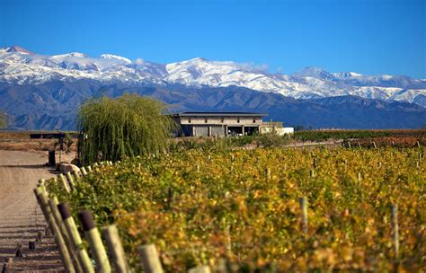 Luxury holidays to Mendoza Cordoba and the wine region