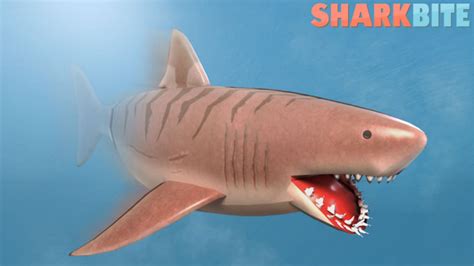 Top 5 weapons in Roblox SharkBite