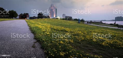 Windsor Ontario Skyline And Riverfront Park Stock Photo - Download ...