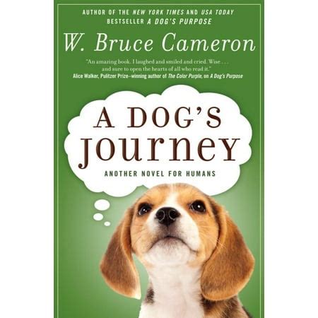 A Dog's Journey - Walmart.com