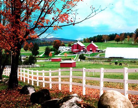 Vermont Farm Peacham Vermont | Vermont Farm Autumn Colors. P… | Flickr