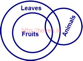 Statements and Conclusions Quiz Set 09 | Aptitude and Reasoning Questions on 'Statements and ...