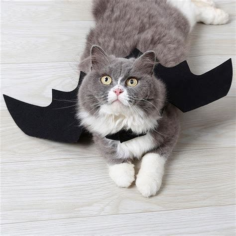 Halloween Bat Wings Costume | Halloween | JBCoolCats