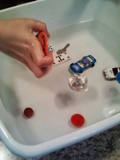Sink or Float Science Experiment - The Happy Housewife™ :: Home Schooling