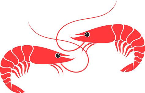 Download Shrimp Transparent Png Stickpng - vrogue.co