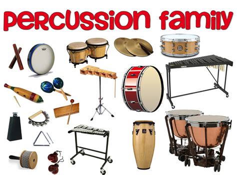 Gallery For > Orchestra Percussion Instruments