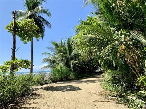 Visiting Uvita Beach of Costa Rica | Whales Tail Playa Uvita | TripTins