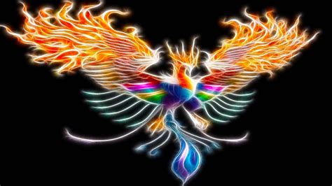 Colorful Vector Phoenix | Phoenix bird art, Bird art, Animal cross stitch patterns