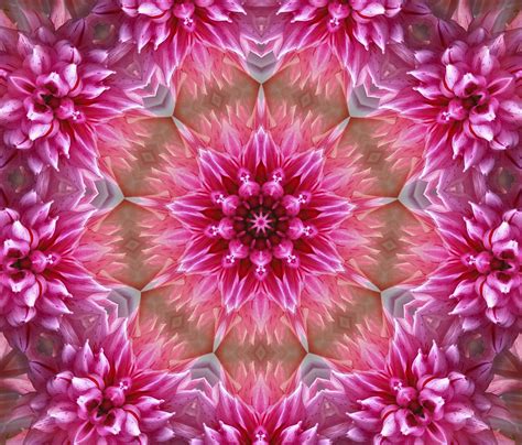 Download Flower, Mandala, Art. Royalty-Free Stock Illustration Image ...