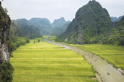 Rice Field in Tam Coc, Ninh Binh, Vietnam Stock Photo - Image of clouds ...