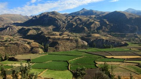 The Flight of the Colca Canyon Condors - Class Adventure Travel