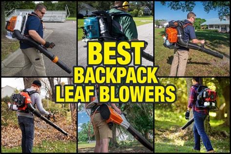 Best Backpack Leaf Blower Reviews 2023 - OPE Reviews