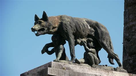 S002 Wolf Romulus and Remus | Romulus and remus, Ancient rome, Classical art
