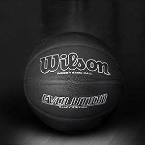 Wilson Evolution Black Edition Official Basketball, Black, Basketballs ...