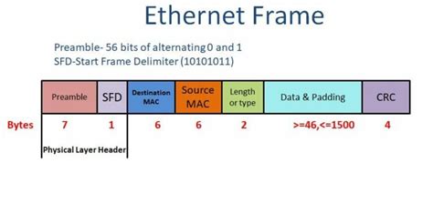 Types and functions of the Network Switch - Explore networkhope.in