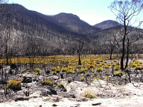 GRAMPIANS FIRE | Photo by gerard | deb herd | Flickr