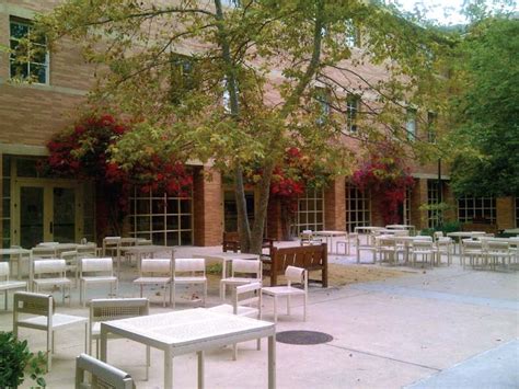 Shapiro Courtyard— UCLA School of Law « UCLA Life Blog