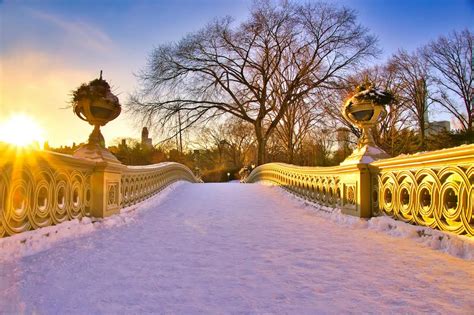 Central Park in Winter Guide | The Best Central Park Snow Day Spots