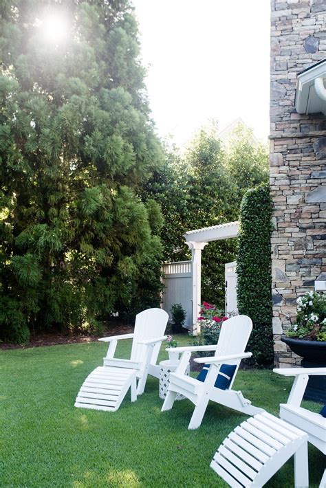 Top 5 Privacy Trees for Backyard that Give Evergreen Color!