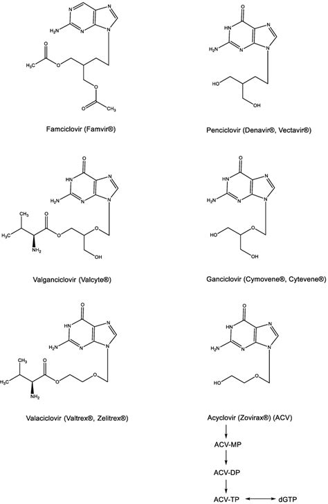 Acyclic nucleoside analogues: Acyclovir, Ganciclovir, Penciclovir and... | Download Scientific ...