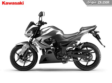 Kawasaki Ninja | Motorcycle Case