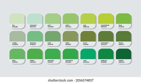 Premium Vector Green Color Palette Swatch Green Tone Chart Pantone Of Shade Lime Emerald And ...