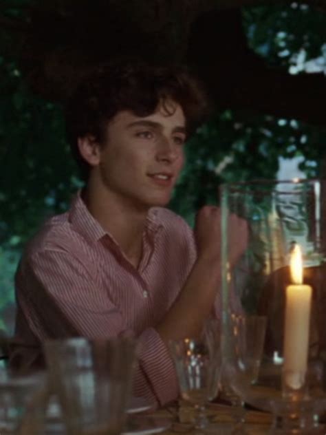 Elio Perlman in the pink shirt : Timothée Chalamet