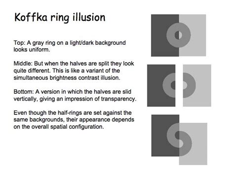 Perception Lecture Notes: Brightness and Contrast