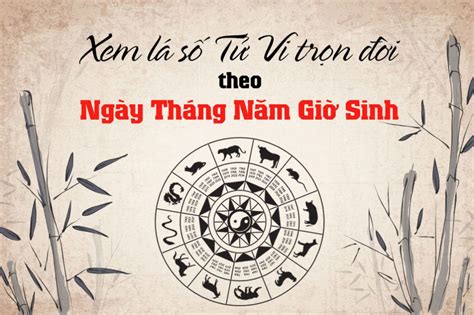 Người tuổi Tỵ sinh vào giờ, ngày, tháng nào tốt? - Vansu.net