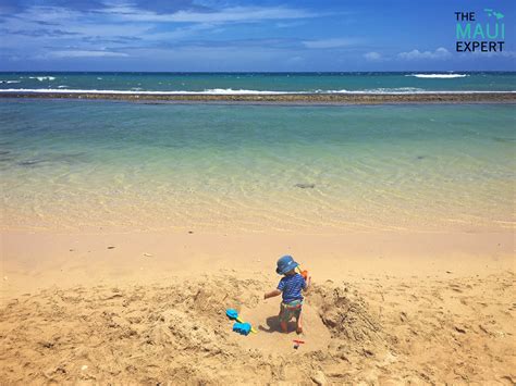 The Maui Expert — Baby Beach Paia Maui