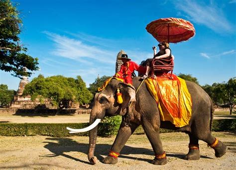 Bucketlist » Ride an Elephant in Thailand (Official Bucket List)