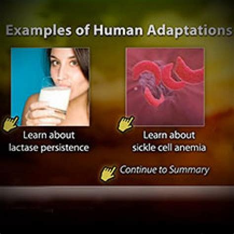 Recent Adaptations in Humans