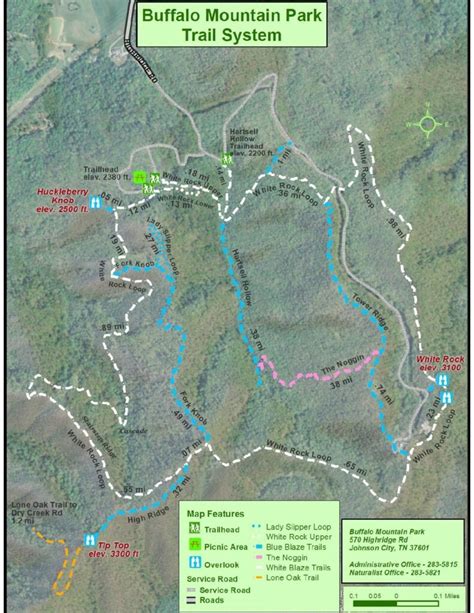 A Quick Guide To Hiking Buffalo Mountain - Save Quit Fish