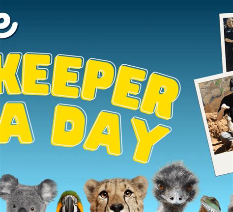 Teen Zoo Keeper for a Day | Billabong Zoo | Port Macquarie Koala and Wildlife Park