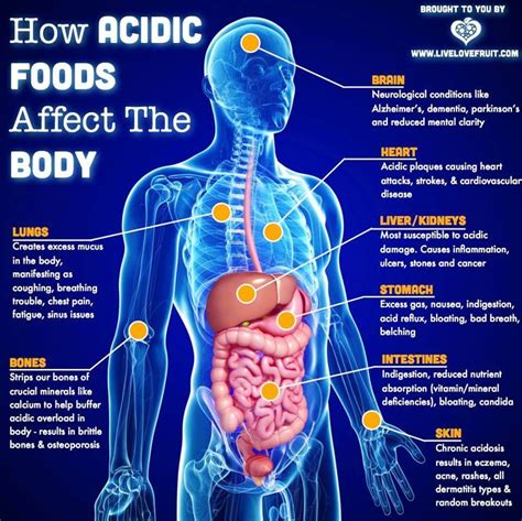 20 Signs Your Body Is Too Acidic, and How to Fix It - Live Love Fruit