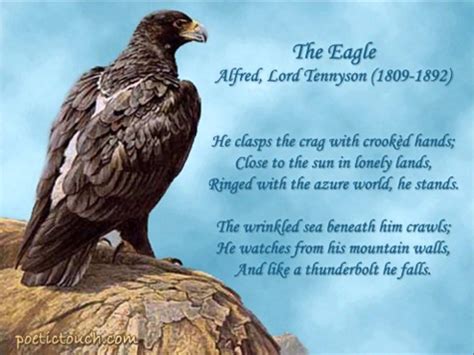 Eagle Poems