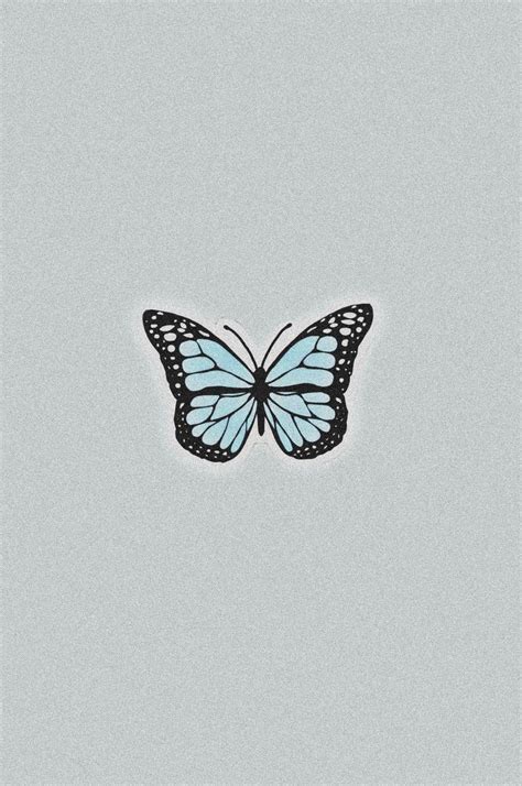 New wallpaper 🦋 | Heart wallpaper, Butterfly wallpaper, Wallpaper