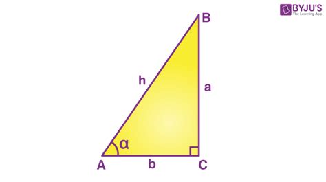 What is Sine Function? Definition, Formula, Table, Graph, Worksheet