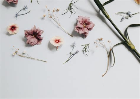 Minimalist Floral Laptop Wallpapers - Wallpaper Cave