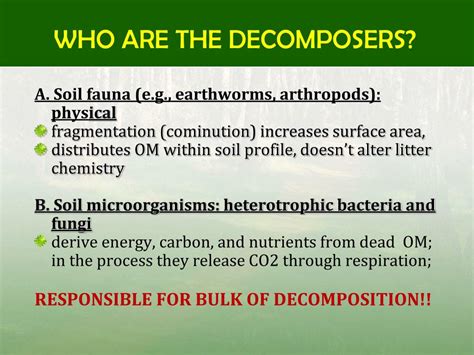 PPT - ORGANIC MATTER DECOMPOSITION PowerPoint Presentation, free ...