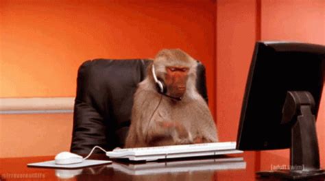 Monkey Typing GIFs | Tenor