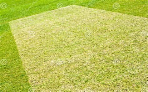 Cricket pitch preparation stock image. Image of short - 25144005